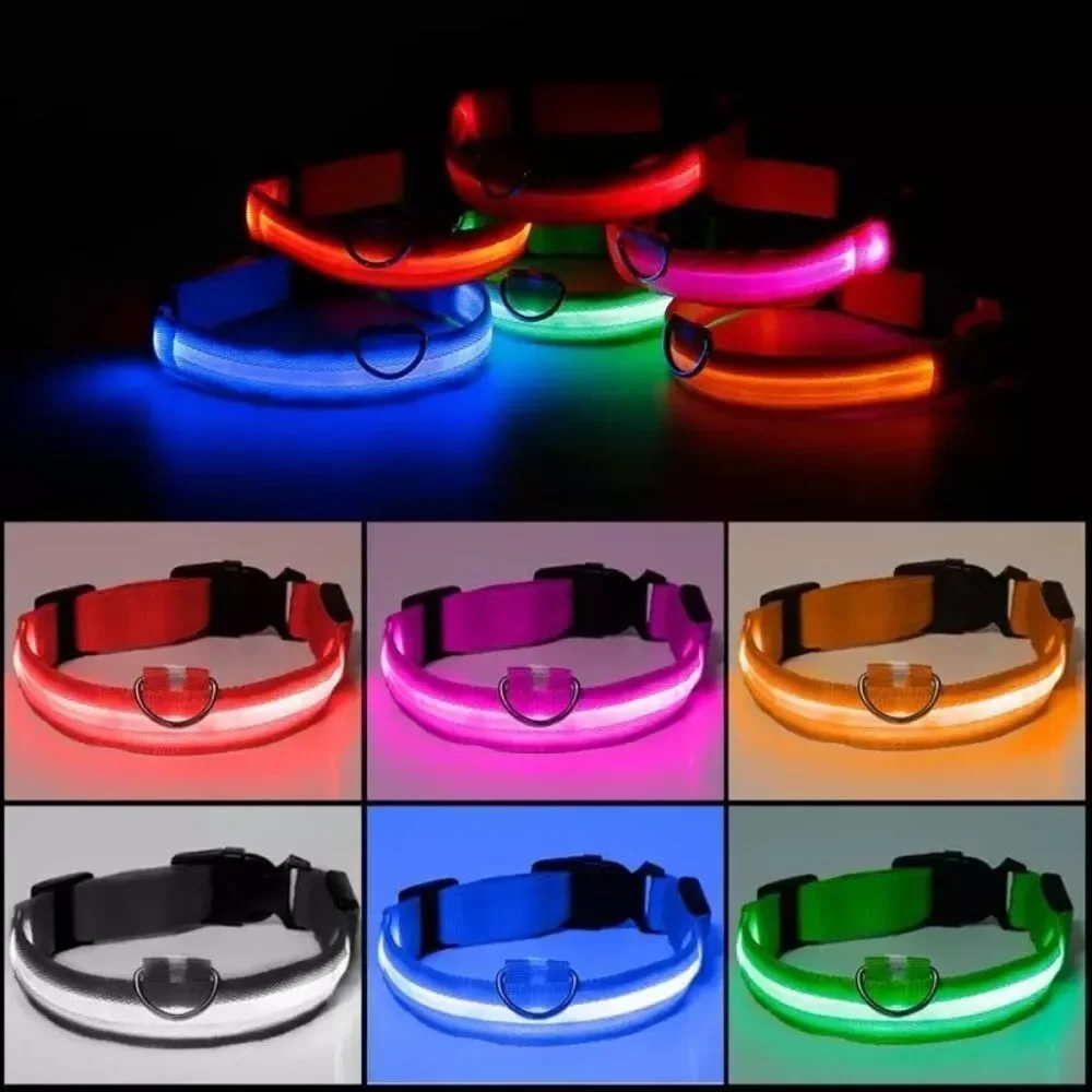 ⛔️CLEARANCE ⛔️LED Night Jog Dog Collar